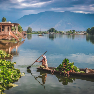 kashmir